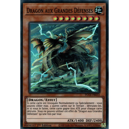 Dragon aux Grandes Défenses - POTE-FR033 - Carte Yu-Gi-Oh!