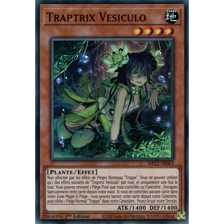 Traptrix Vesiculo - MP22-FR063