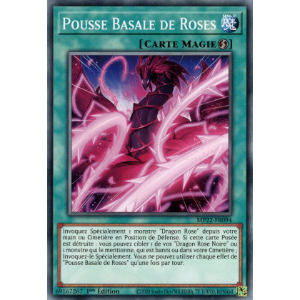 Pousse Basale de Roses - MP22-FR094
