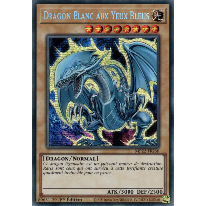 Dragon Blanc aux Yeux Bleus - MP22-FR266