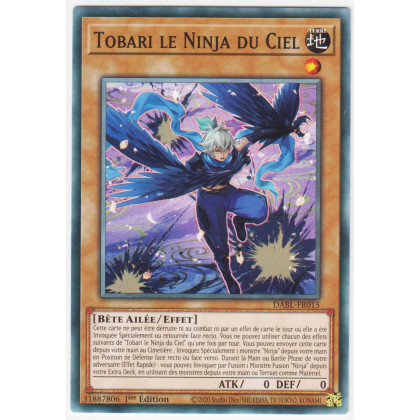 Tobari le Ninja du Ciel - DABL-FR015