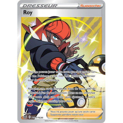 Roy - TG27/TG30 - Dresseur Full Art Secrète - Carte Pokémon Tempête Argentée EB12