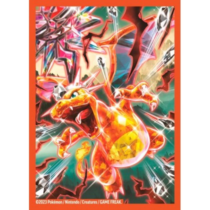 Pokémon TCG - Paquet de 65 Protège-cartes Standard - Dracaufeu ex
