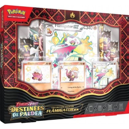 Pokémon - Coffrets Pokémon - Jeu de Cartes à jouer & collectionner Pokémon  - DracauGames