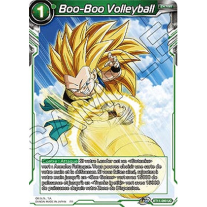 image BT11-090 Boo-Boo Volleyball