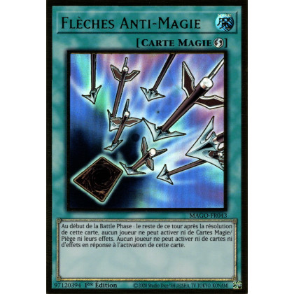 MAGO-FR043 Flèches Anti-Magie