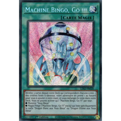 Machine Bingo, Go !!! : LDS2-FR028 SE