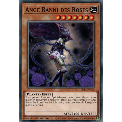 Ange Banni des Roses : LDS2-FR103 C