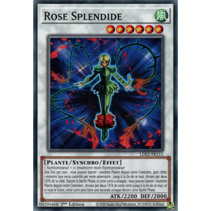 Rose Splendide : LDS2-FR111 C