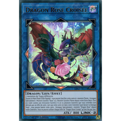 Dragon Rose Croisée : LDS2-FR114 UR (Doré)