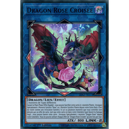 Dragon Rose Croisée : LDS2-FR114 UR (Bleu)