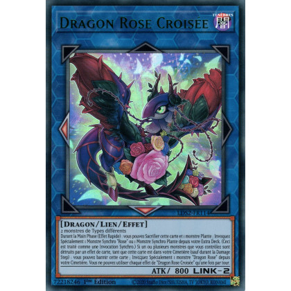 Dragon Rose Croisée : LDS2-FR114 UR (Vert)