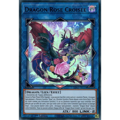 Dragon Rose Croisée : LDS2-FR114 UR (Violet)