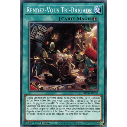 Rendez-Vous Tri-Brigade : BLVO-FR056 C