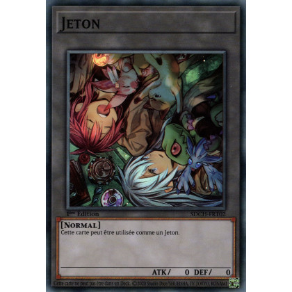 Jeton (V.2) - SDCH-FRT02 SR