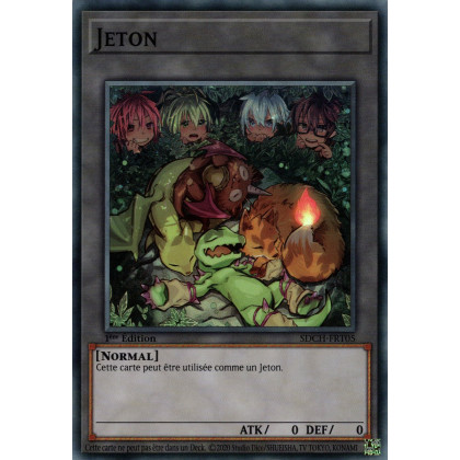 Jeton (V.5) - SDCH-FRT05 SR