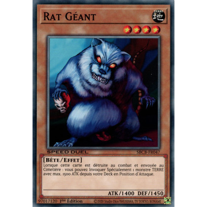 Rat Géant : SBCB-FR047 C