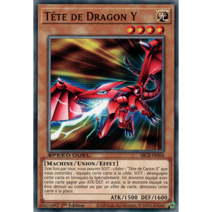 Tête de Dragon Y : SBCB-FR064 C