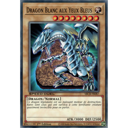 Dragon Blanc aux Yeux Bleus : SBCB-FR087 C