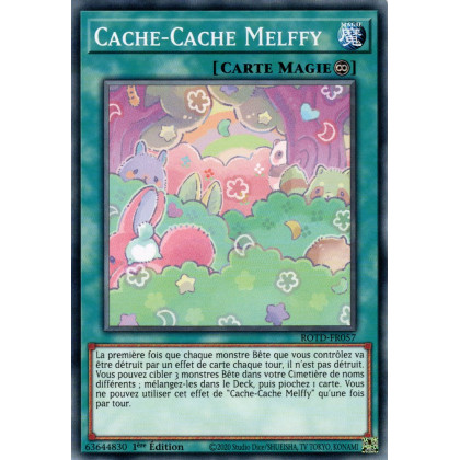 Cache-Cache Melffy ROTD-FR057 C