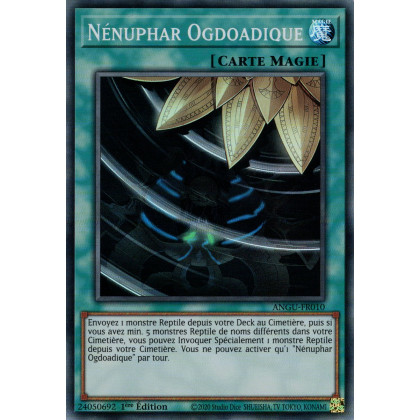 Nénuphar Ogdoadique : ANGU-FR010 SR