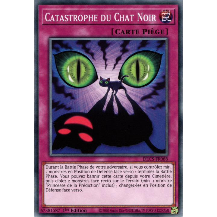 DLCS-FR088 Catastrophe du Chat Noir