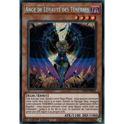 Ange de Loyauté des Ténèbres : LIOV-FR022 SE