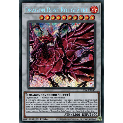 Dragon Rose Rougeâtre : LIOV-FR035 SE