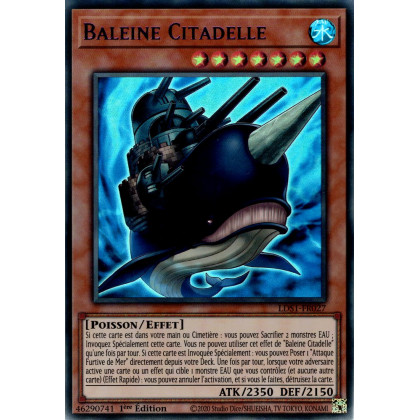 Baleine Citadelle : LDS1-FR027 UR (Violet)