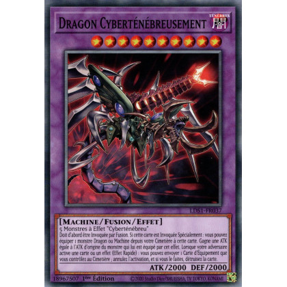 Dragon Cyberténébreusement : LDS1-FR037 C
