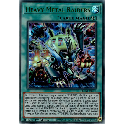 Heavy Metal Raiders : LDS1-FR077 UR (Vert)