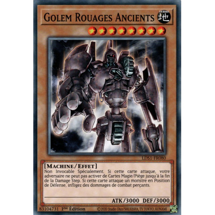 Golem Rouages Ancients : LDS1-FR080 C