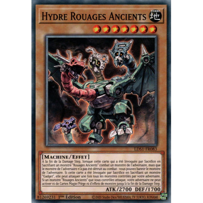 Hydre Rouages Ancients : LDS1-FR083 C