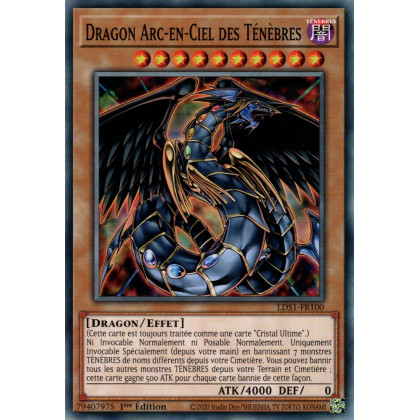 Dragon Arc-en-Ciel des Ténèbres : LDS1-FR100 C