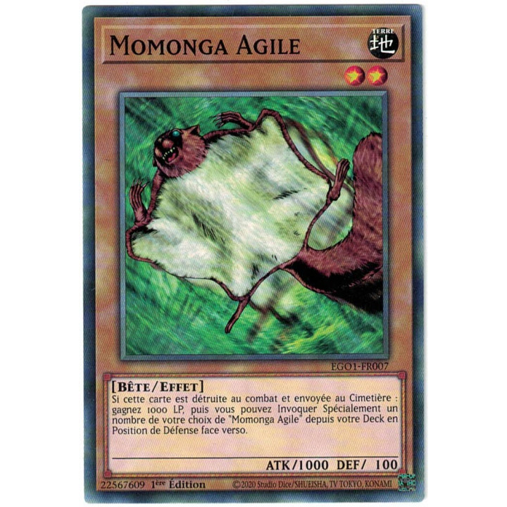 Momonga Agile : EGO1-FR007 C