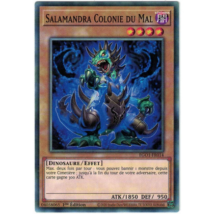 Salamandra Colonie du Mal : EGO1-FR014 C