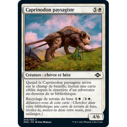 Caprinodon paysagiste : MH2 018/303 C