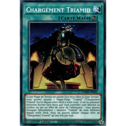 Chargement Triamid : DAMA-FR063 C