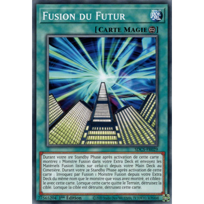 Fusion du Futur : SDCS-FR029 C