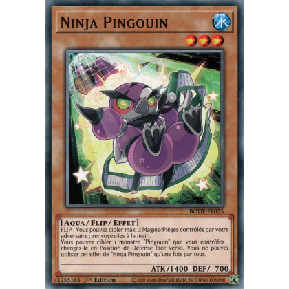 Ninja Pingouin - BODE-FR025 C