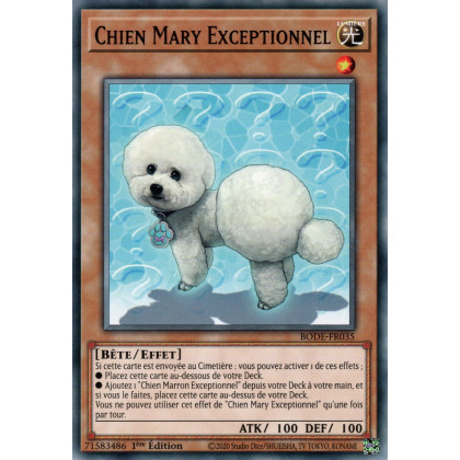 Chien Mary Exceptionnel - BODE-FR035 C