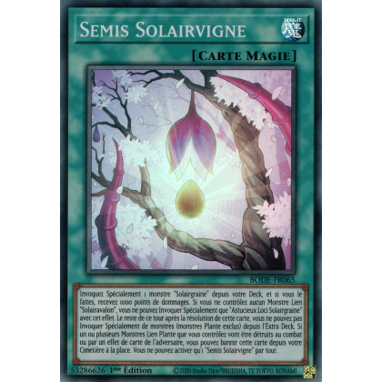 Semis Solairvigne - BODE-FR065 SR