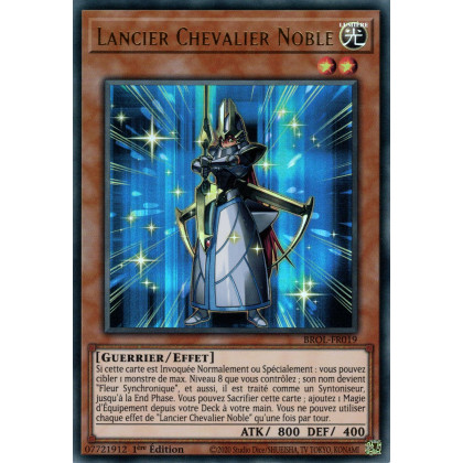 Lancier Chevalier Noble - BROL-FR019