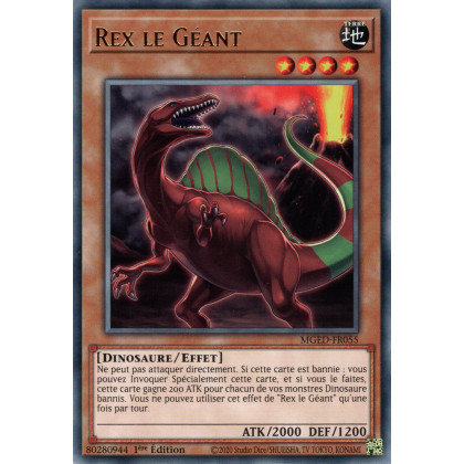 Rex le Géant : MGED-FR055 (R)