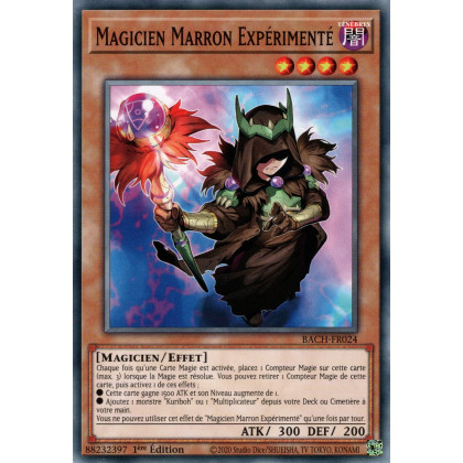 Magicien Marron Expérimenté : BACH-FR024 (C)