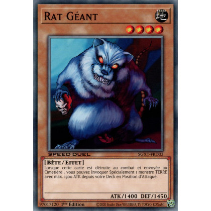 Rat Géant : SGX1-FRD03 (C)