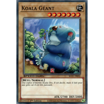 Koala Géant : SGX1-FRI02 (C)