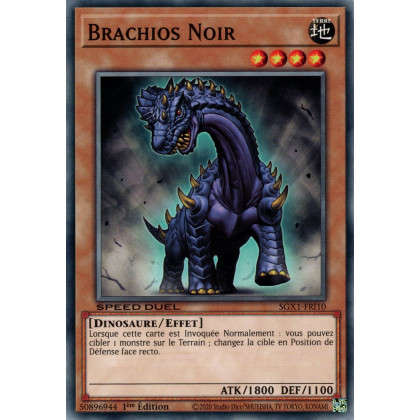 Brachios Noir : SGX1-FRI10 (C)