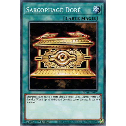 Sarcophage Doré - SDAZ-FR027