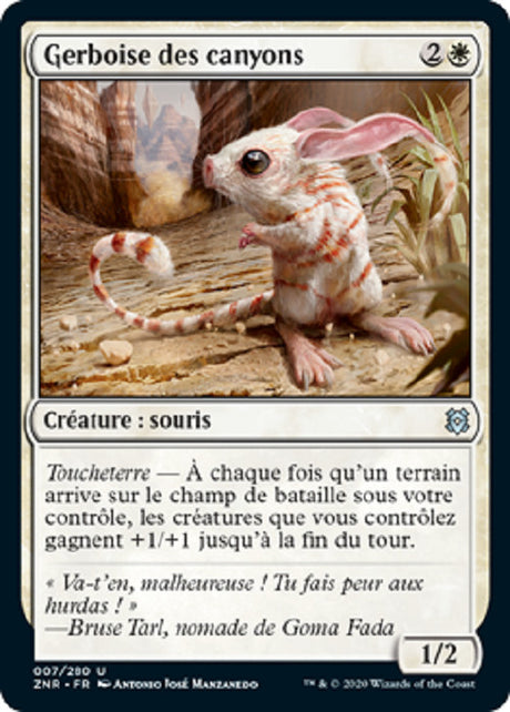 image ZNR_007/280 Gerboise des canyons